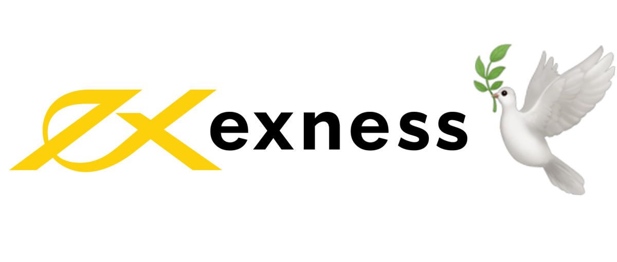 Discover the Best Exness Account Forex Options for Your Trading Needs Discover the Best Exness Account Forex Options for Your Trading Needs