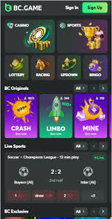 Unveiling the Excitement of BC.Game A Premier Crypto Casino