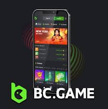 دليل إيداع BC Game كيفية تنفيذ عمليات الإيداع بيسر وسهولة